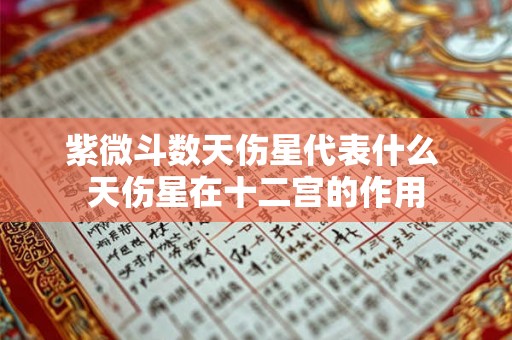 紫微斗数天伤星代表什么 天伤星在十二宫的作用