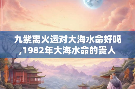 九紫离火运对大海水命好吗,1982年大海水命的贵人