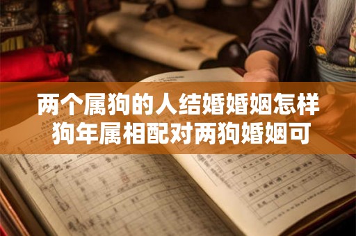 两个属狗的人结婚婚姻怎样 狗年属相配对两狗婚姻可行吗