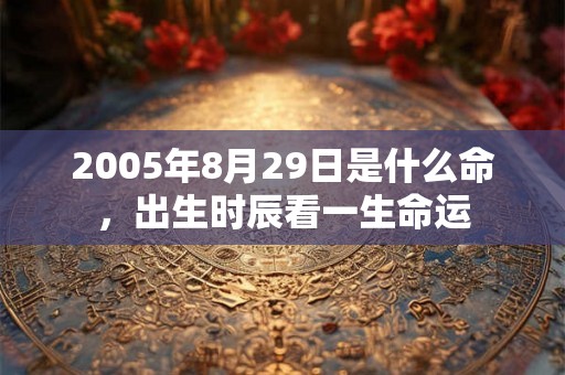 2005年8月29日是什么命，出生时辰看一生命运