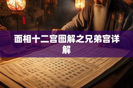 面相十二宫图解之兄弟宫详解