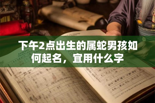 下午2点出生的属蛇男孩如何起名,宜用什么字 下午2点出生的属蛇男孩如何起名,宜用什么字