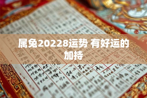 属兔20228运势 有好运的加持