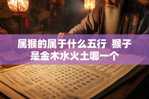 属猴的属于什么五行  猴子是金木水火土哪一个