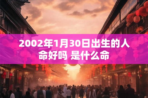 2002年1月30日出生的人命好吗 是什么命