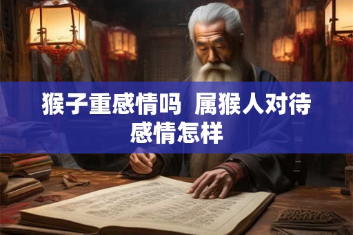 猴子重感情吗  属猴人对待感情怎样