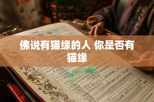 佛说有猫缘的人 你是否有猫缘