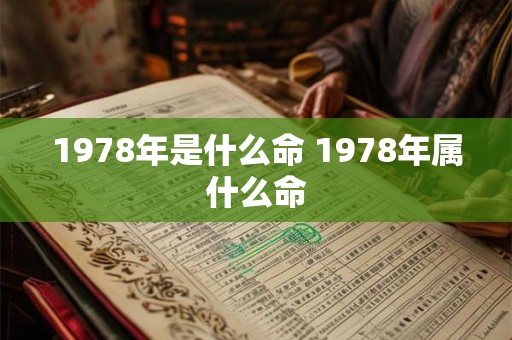 1978年是什么命 1978年属什么命 1978年是什么命 1978年属什么命