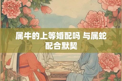 属牛的上等婚配吗 与属蛇配合默契