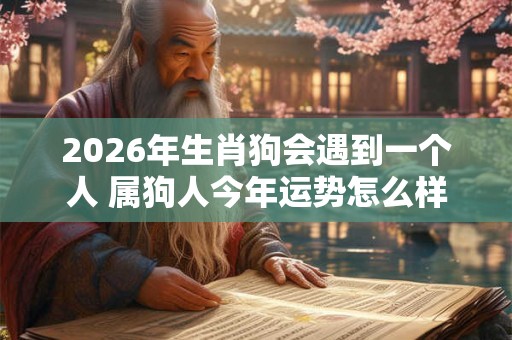 2026年生肖狗会遇到一个人 属狗人今年运势怎么样