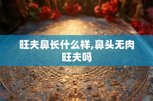 旺夫鼻长什么样,鼻头无肉旺夫吗
