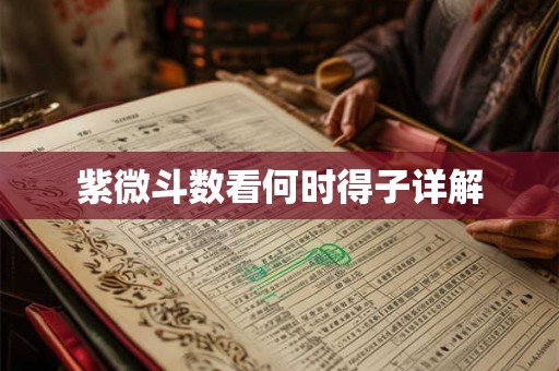紫微斗数看何时得子详解