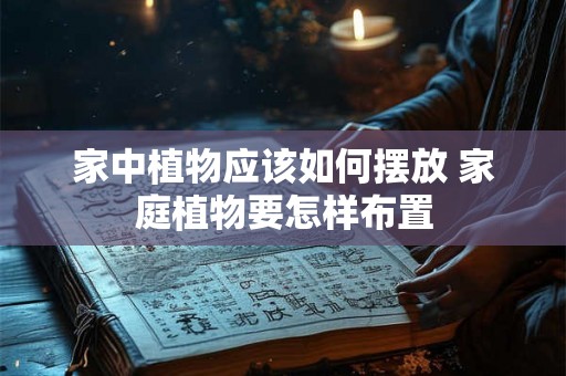 家中植物应该如何摆放 家庭植物要怎样布置 家中植物应该如何摆放 家庭植物要怎样布置