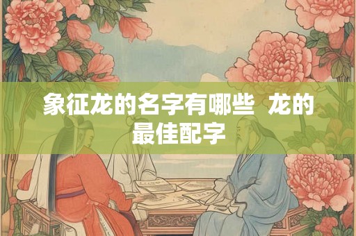 象征龙的名字有哪些  龙的最佳配字