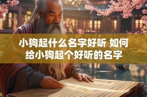 小狗起什么名字好听 如何给小狗起个好听的名字