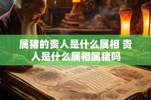 属猪的贵人是什么属相 贵人是什么属相属猪吗