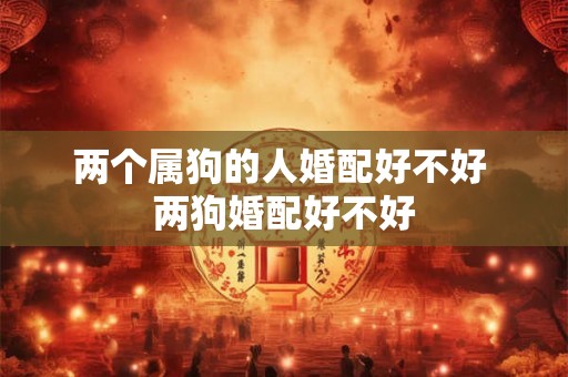 两个属狗的人婚配好不好 两狗婚配好不好