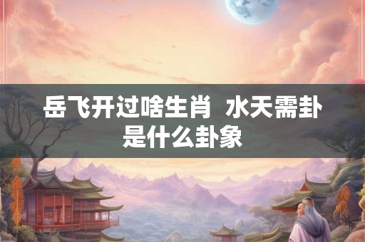岳飞开过啥生肖  水天需卦是什么卦象