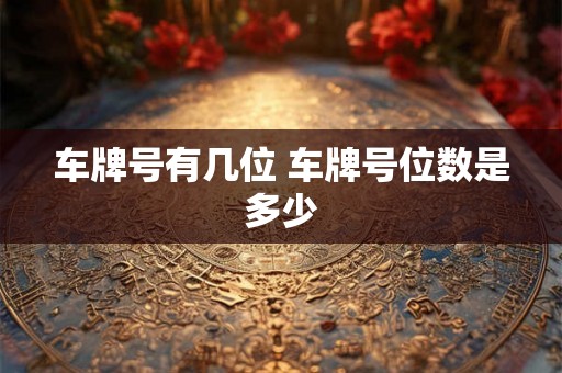 车牌号有几位 车牌号位数是多少