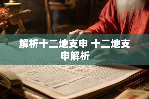 解析十二地支申 十二地支申解析