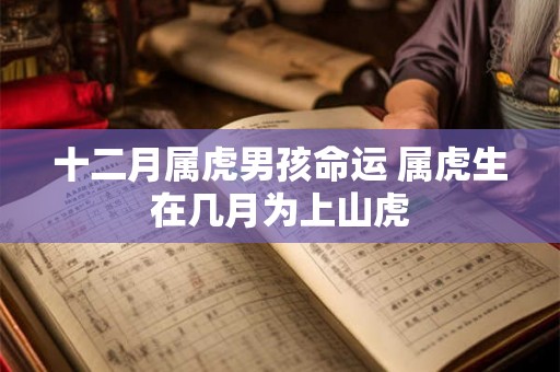 十二月属虎男孩命运 属虎生在几月为上山虎