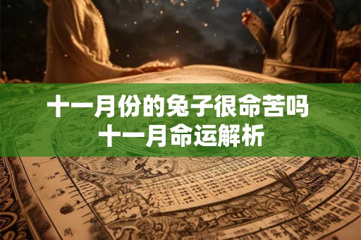 十一月份的兔子很命苦吗 十一月命运解析