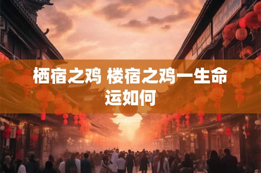 栖宿之鸡 楼宿之鸡一生命运如何