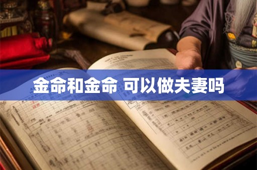 金命和金命 可以做夫妻吗