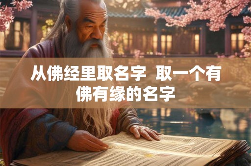 从佛经里取名字 取一个有佛有缘的名字 从佛经里取名字 取一个有佛有缘的名字