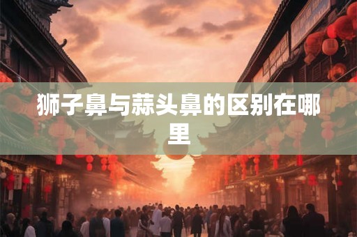 狮子鼻与蒜头鼻的区别在哪里