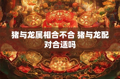 猪与龙属相合不合 猪与龙配对合适吗