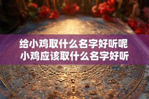 给小鸡取什么名字好听呢 小鸡应该取什么名字好听