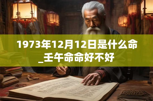 1973年12月12日是什么命_壬午命命好不好