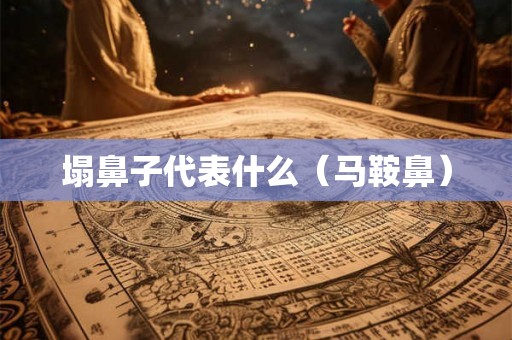 塌鼻子代表什么（马鞍鼻）