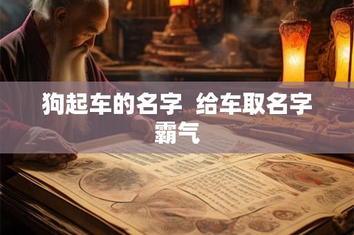 狗起车的名字 给车取名字霸气 狗起车的名字 给车取名字霸气