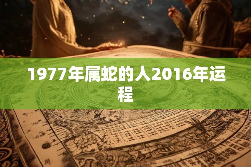 1977年属蛇的人2016年运程 1977年属蛇的人2016年运程