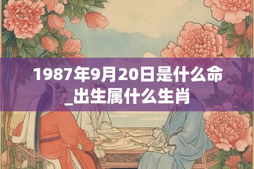 1987年9月20日是什么命_出生属什么生肖