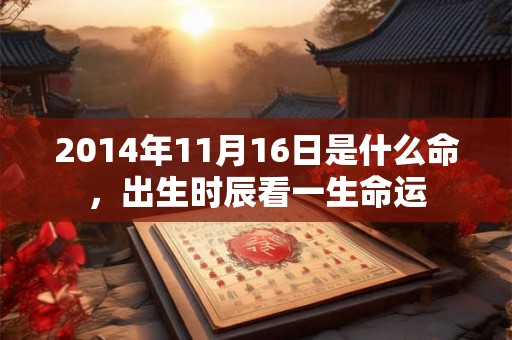 2014年11月16日是什么命,出生时辰看一生命运 2014年11月16日是什么命,出生时辰看一生命运