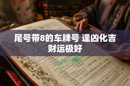 尾号带8的车牌号 逢凶化吉财运极好