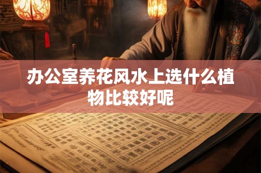 办公室养花风水上选什么植物比较好呢 办公室养花风水上选什么植物比较好呢