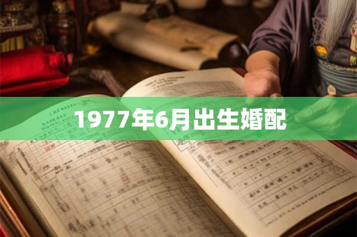 1977年6月出生婚配