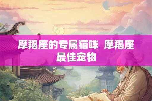 摩羯座的专属猫咪  摩羯座最佳宠物