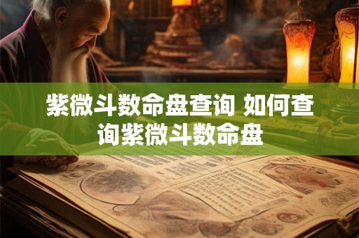 紫微斗数命盘查询 如何查询紫微斗数命盘 紫微斗数命盘查询 如何查询紫微斗数命盘