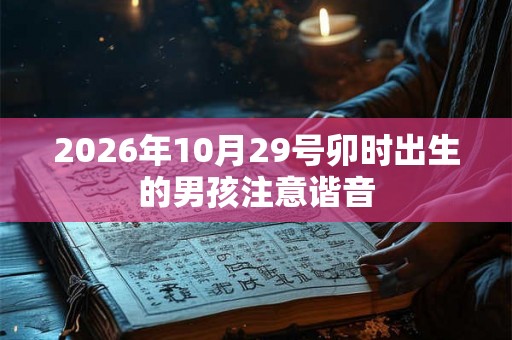 2026年10月29号卯时出生的男孩注意谐音