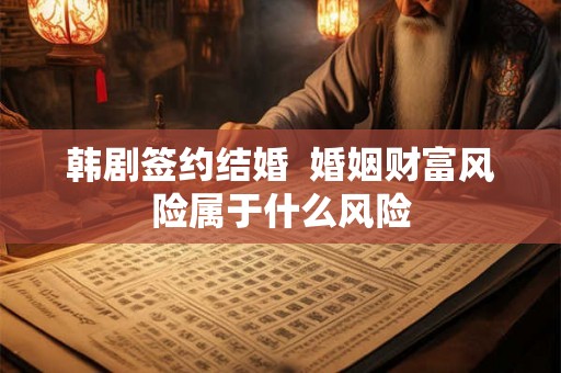 韩剧签约结婚  婚姻财富风险属于什么风险