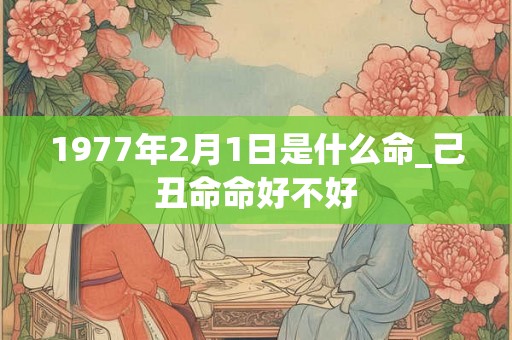 1977年2月1日是什么命_己丑命命好不好