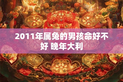 2011年属兔的男孩命好不好 晚年大利