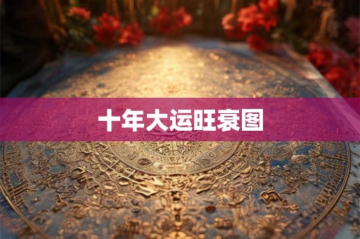 十年大运旺衰图