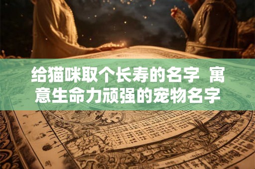 给猫咪取个长寿的名字  寓意生命力顽强的宠物名字