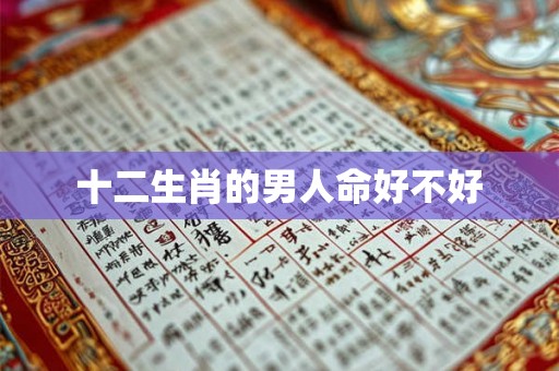 十二生肖的男人命好不好
